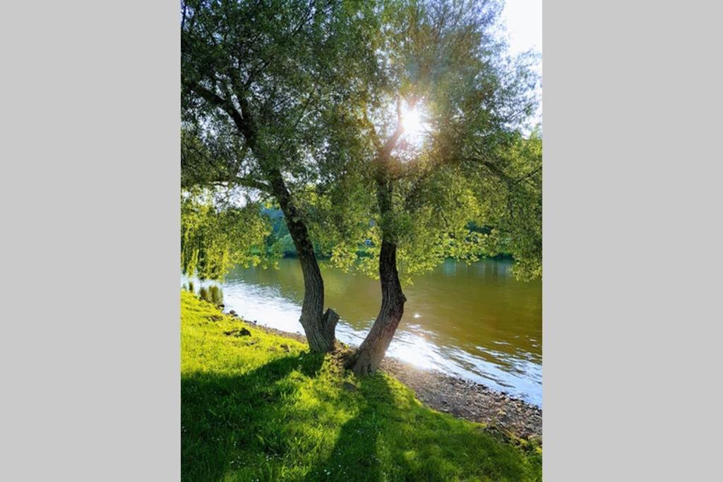 Ferienwohnung 'Burgblick' Wertheim Zewnętrze zdjęcie