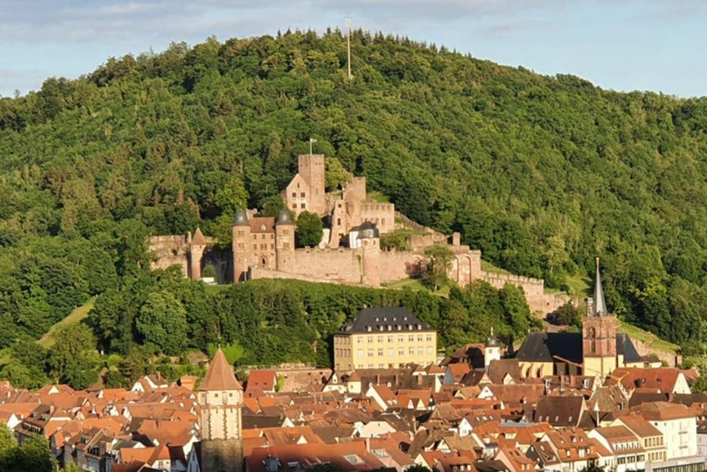 Ferienwohnung 'Burgblick' Wertheim Zewnętrze zdjęcie
